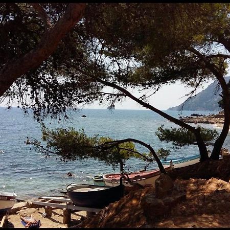 Appartement T2 A Fabregas, Proche Des Sablettes La Seyne-sur-Mer Dış mekan fotoğraf