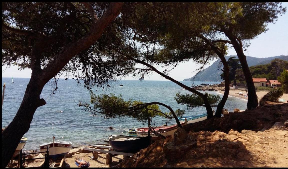 Appartement T2 A Fabregas, Proche Des Sablettes La Seyne-sur-Mer Dış mekan fotoğraf
